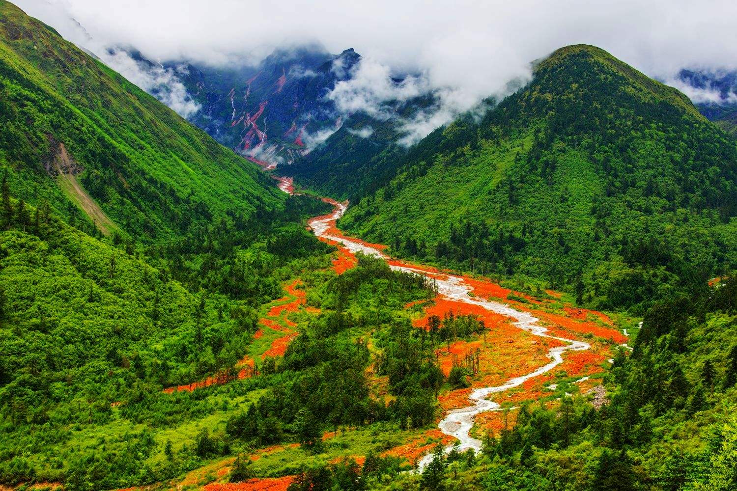 四川蜀地风华的魅力展现