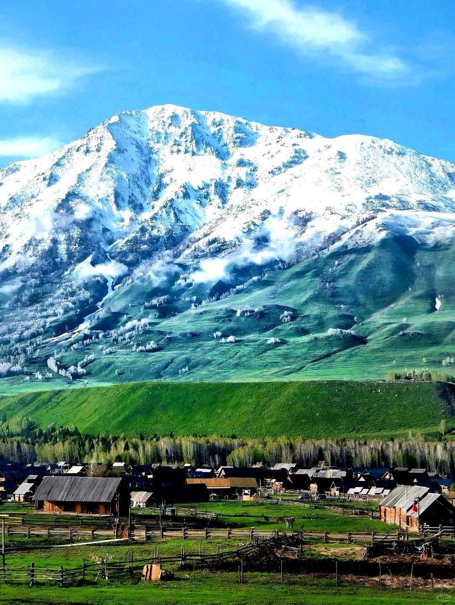 新疆，多元文化交融与民族和谐共生的和谐画卷