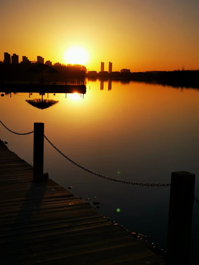 朝阳,从黎明到辉煌的壮丽之旅